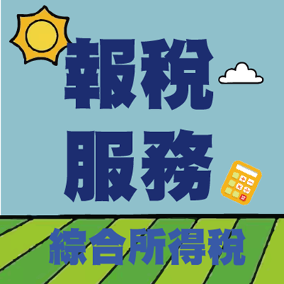 財政稅務系2026五月綜合所得稅申報